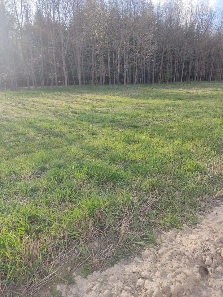 Działka budowlana Stara Jedlanka. Zdjęcie 1