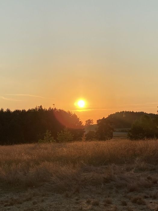 Działka rolna Unichowo. Zdjęcie 6