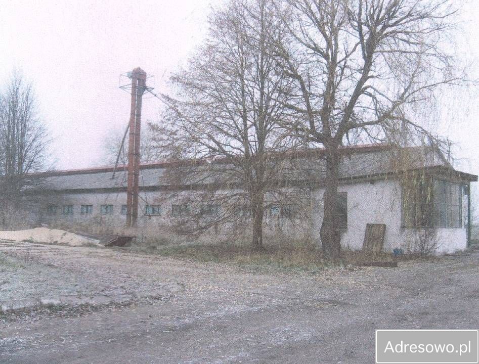 Hala/magazyn Tarnowiec. Zdjęcie 4