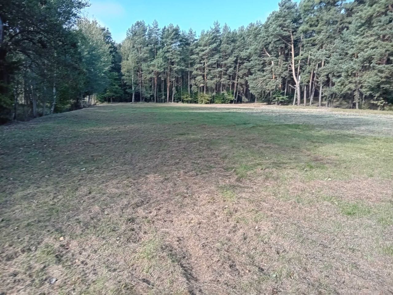 Działka budowlana Studzieniec. Zdjęcie 2