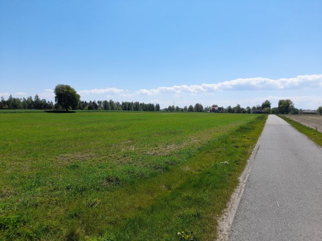 Działka siedliskowa Pichlice. Zdjęcie 1