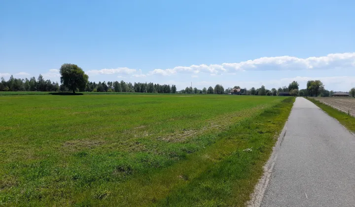 Działka siedliskowa Pichlice