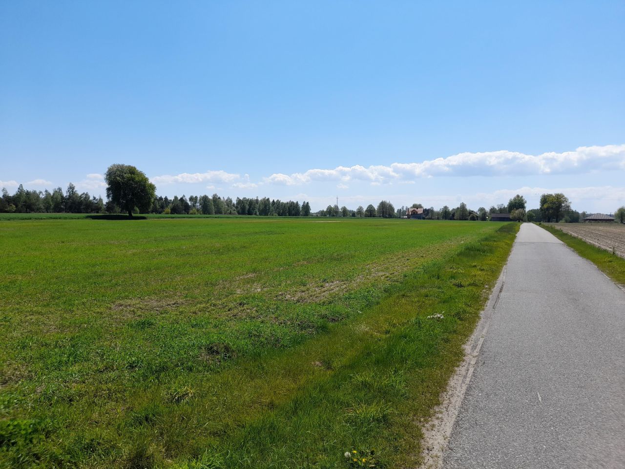 Działka siedliskowa Pichlice. Zdjęcie 1