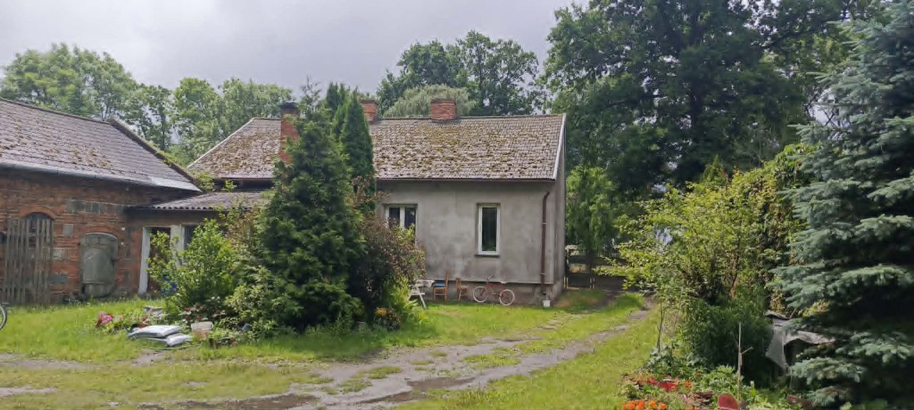 Działka rolna Bąków Górny. Zdjęcie 1