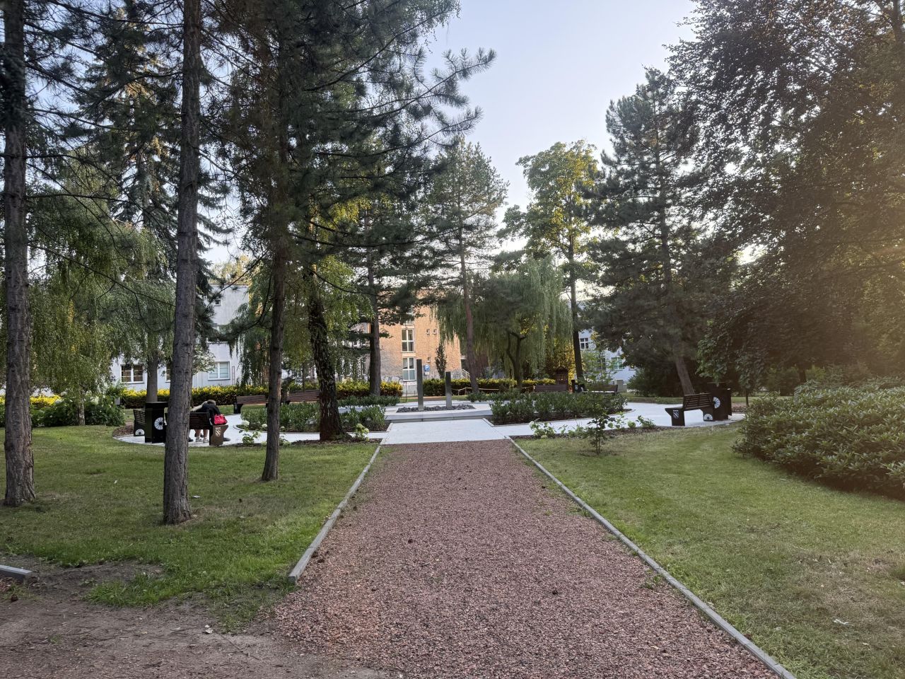 Lokal Rybnik Śródmieście, ul. Henryka Wieniawskiego. Zdjęcie 16