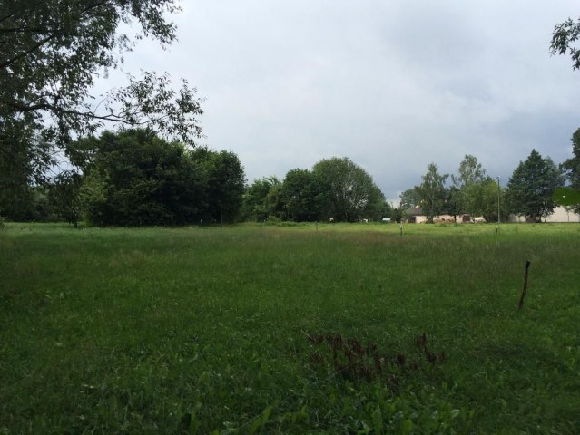 Działka siedliskowa Jurzyn. Zdjęcie 1