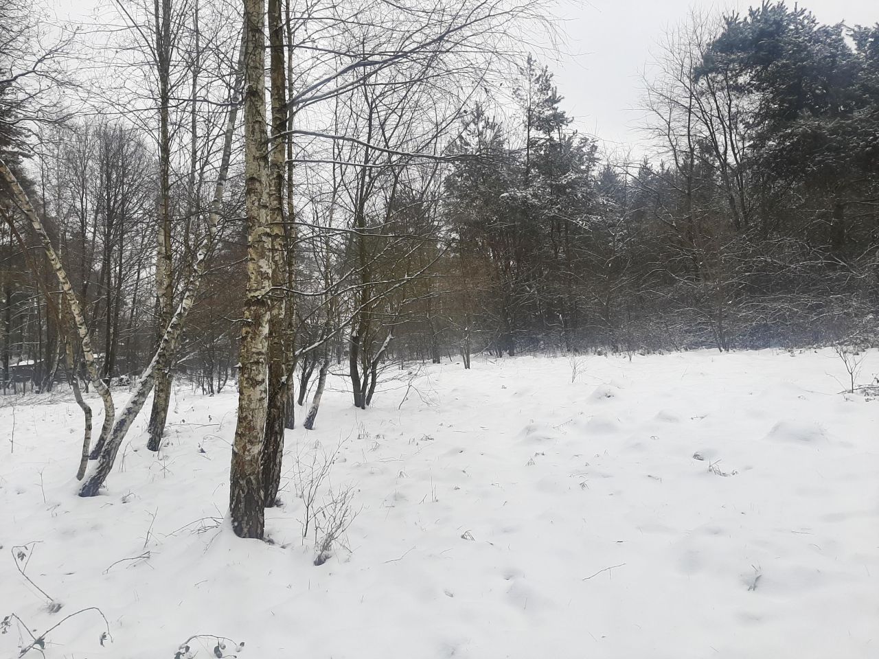 Działka budowlana Bargłówka, ul. Raciborska. Zdjęcie 6