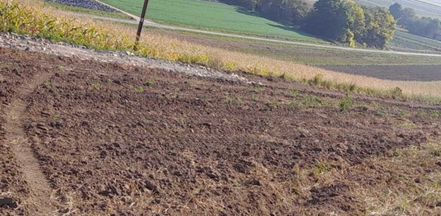 Działka budowlana Siedliska. Zdjęcie 1