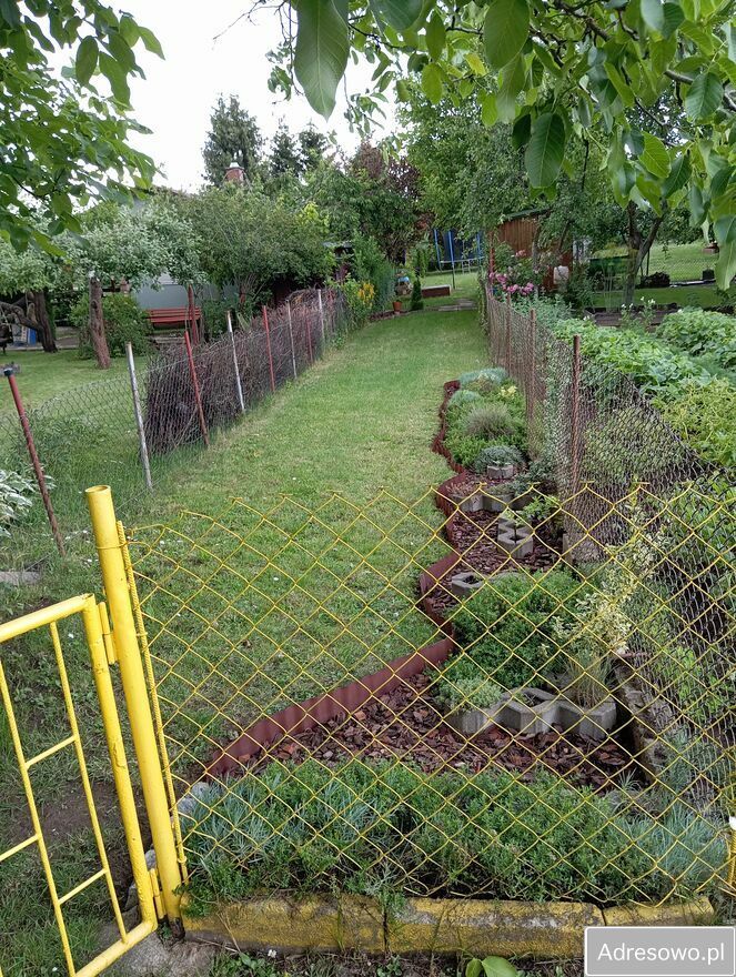 Działka rod Elbląg Bielany, ul. Okrężna. Zdjęcie 7