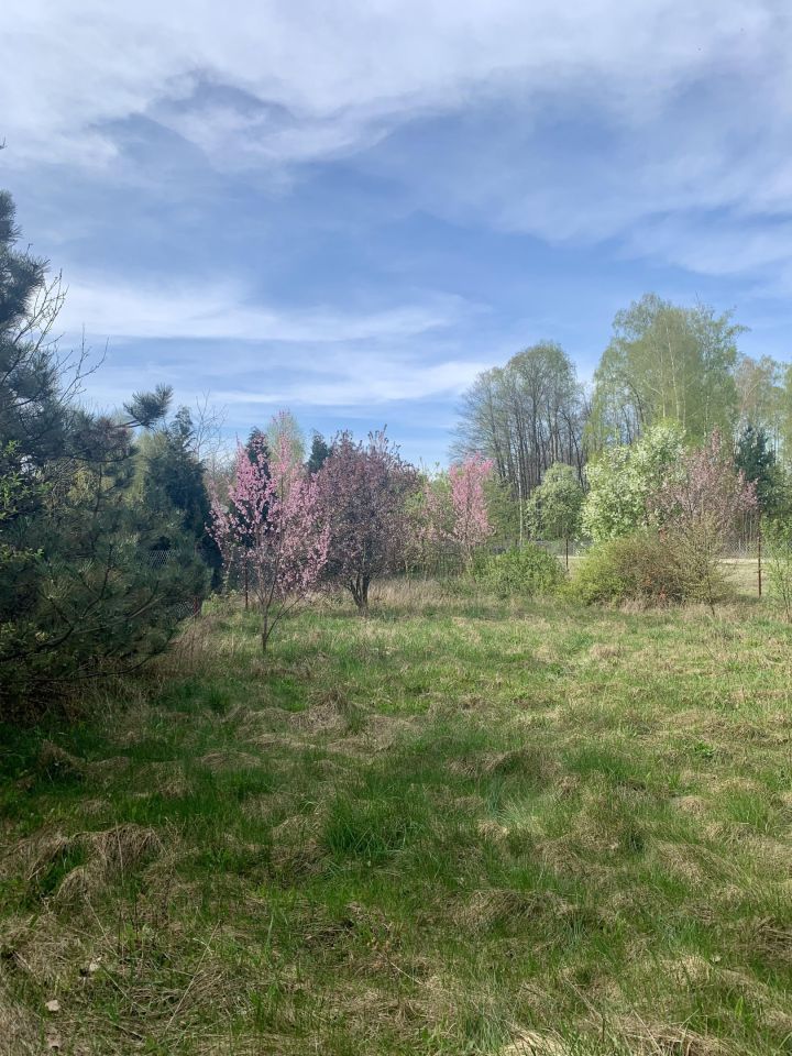 Działka rekreacyjna Kolonia Brzeźce, ul. Łąkowa. Zdjęcie 11