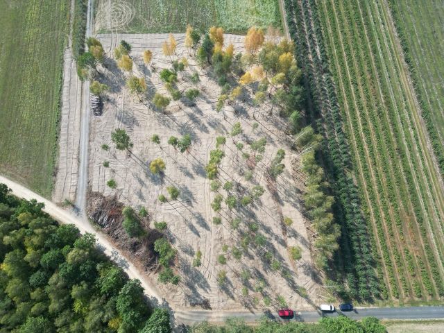 Działka budowlana Piaseczno Centrum, ul. Janusza Kusocińskiego. Zdjęcie 1
