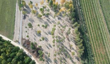 Działka budowlana Zimnice, ul. Janusza Kusocińskiego