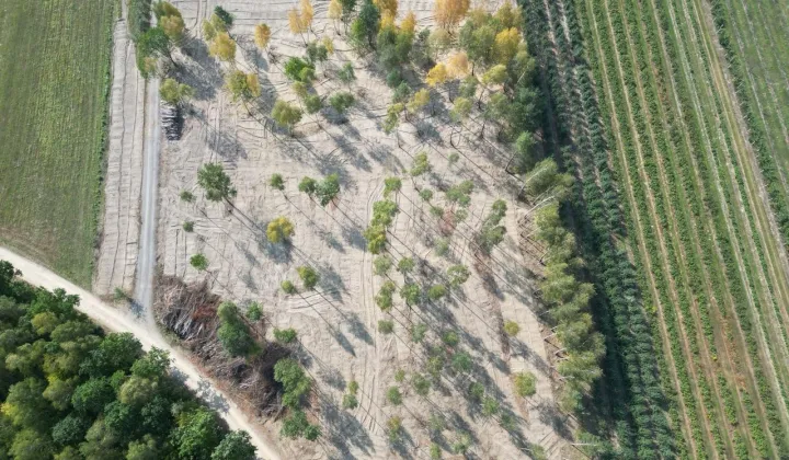 Działka budowlana Zimnice, ul. Janusza Kusocińskiego