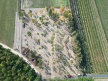 Działka budowlana Zimnice, ul. Janusza Kusocińskiego