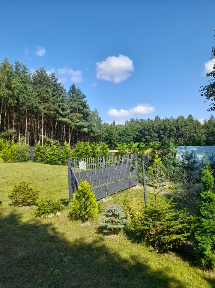 Działka rekreacyjna Morawy Albertowo. Zdjęcie 6