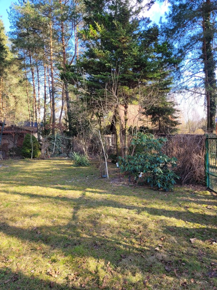 Działka rekreacyjna Rozpłucie Pierwsze. Zdjęcie 3