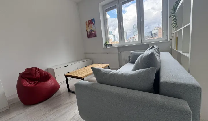 Mieszkanie 1-pokojowe Warszawa Wola, ul. Miedziana