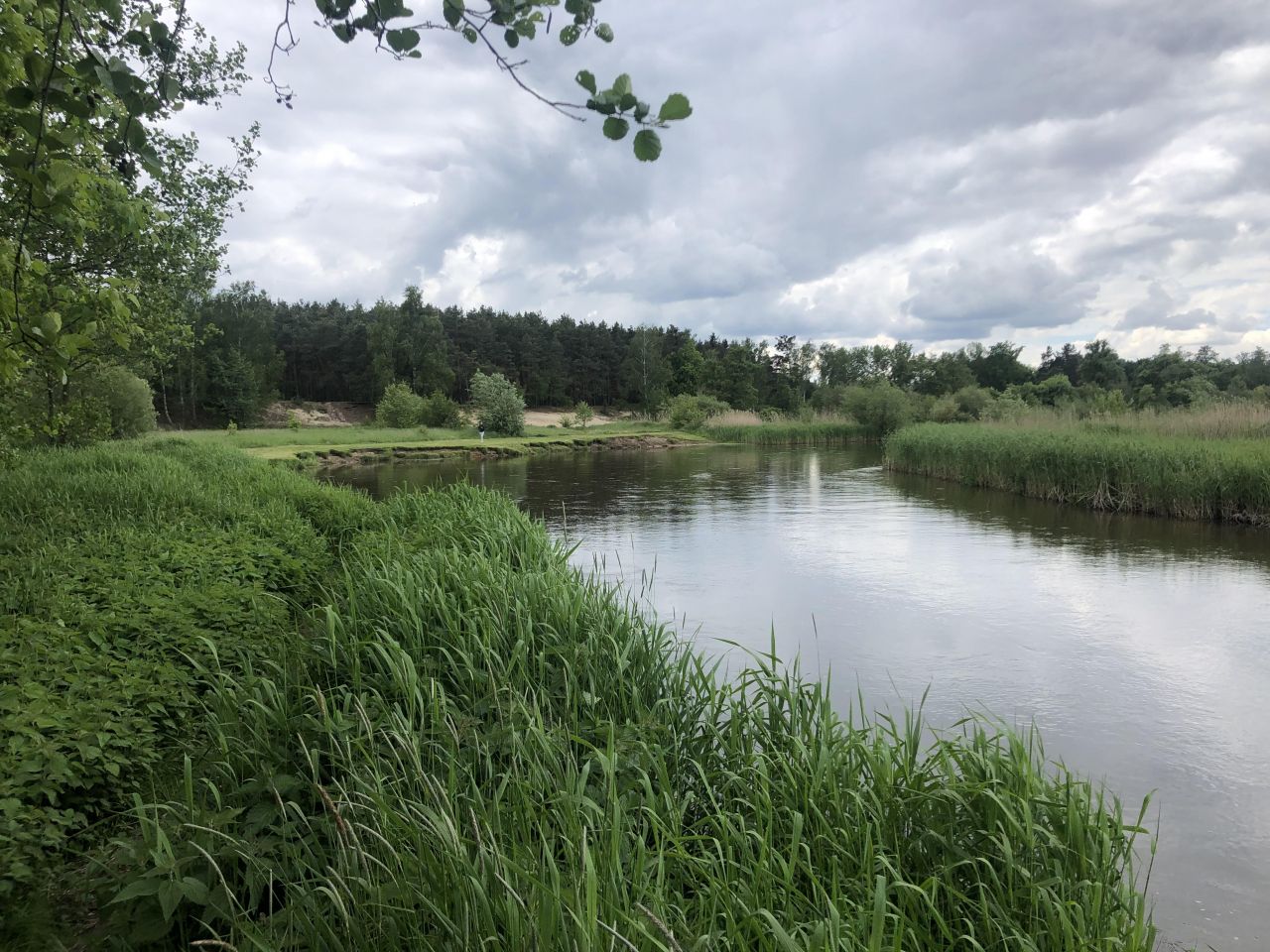 Działka rekreacyjna Biała Góra. Zdjęcie 13