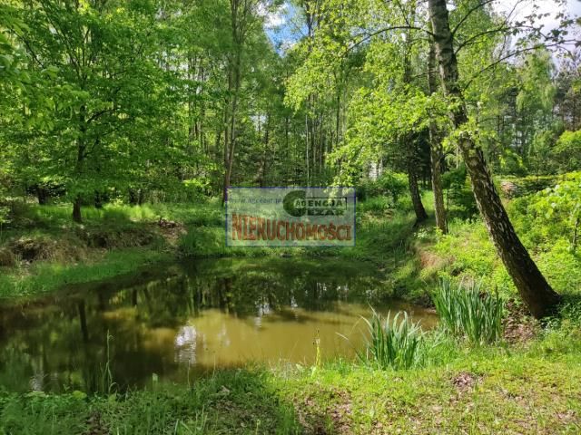 siedlisko, 2 pokoje Zimnowoda. Zdjęcie 13