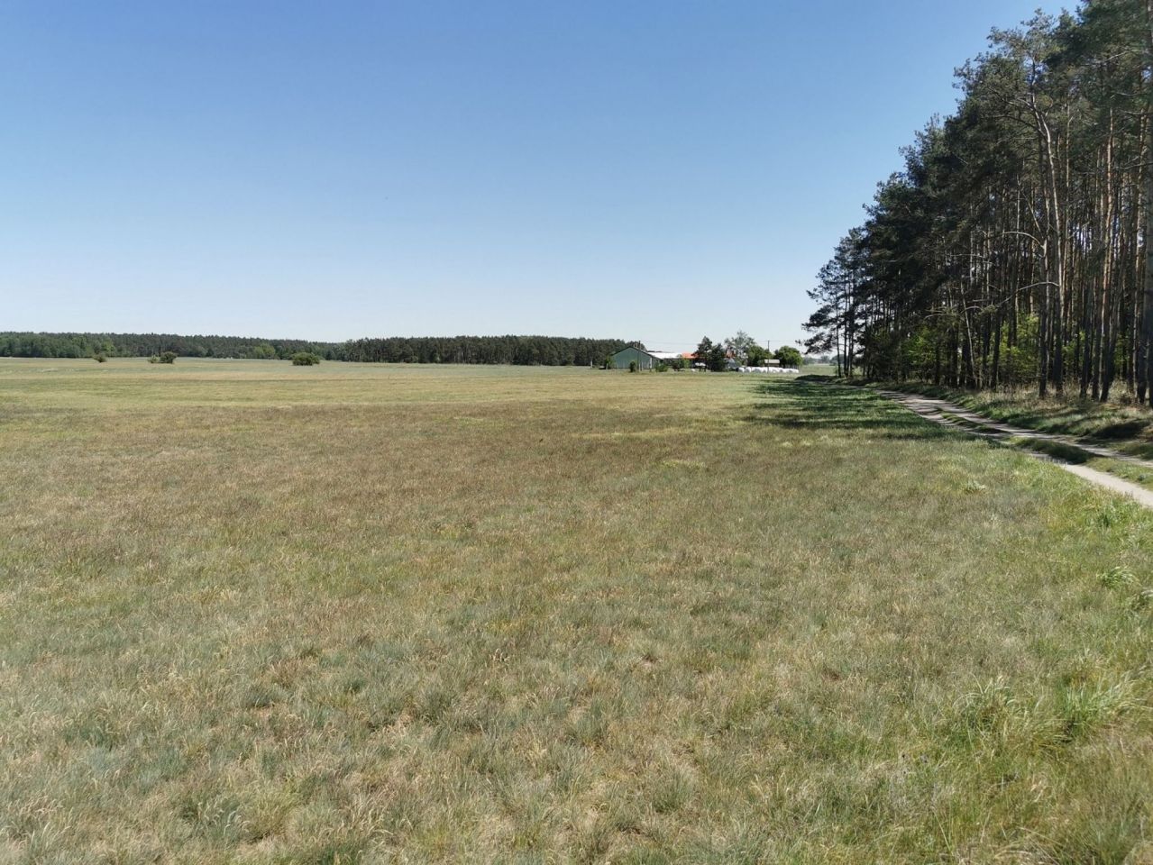 Działka rolna Święta. Zdjęcie 16