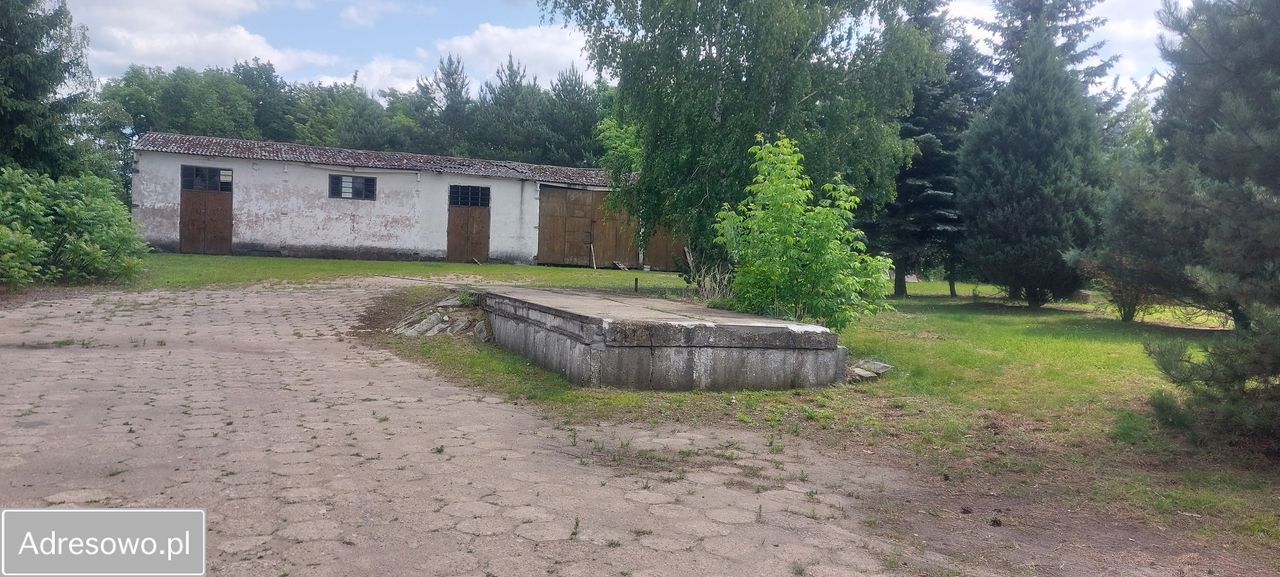 Działka inwestycyjna Juliszew. Zdjęcie 5