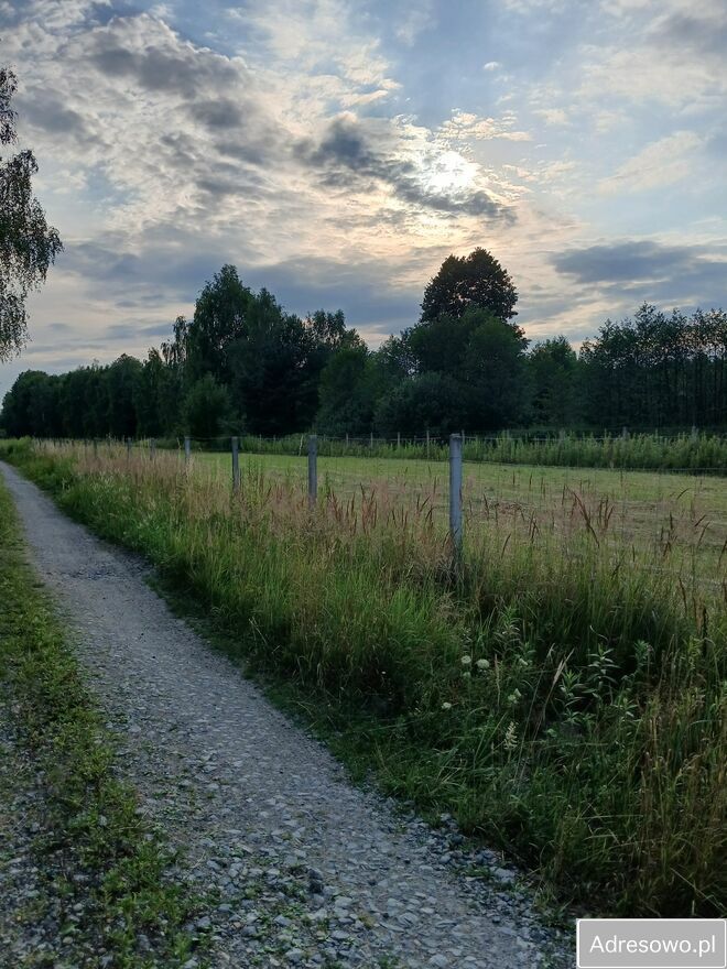 Działka budowlana Chojnów. Zdjęcie 2