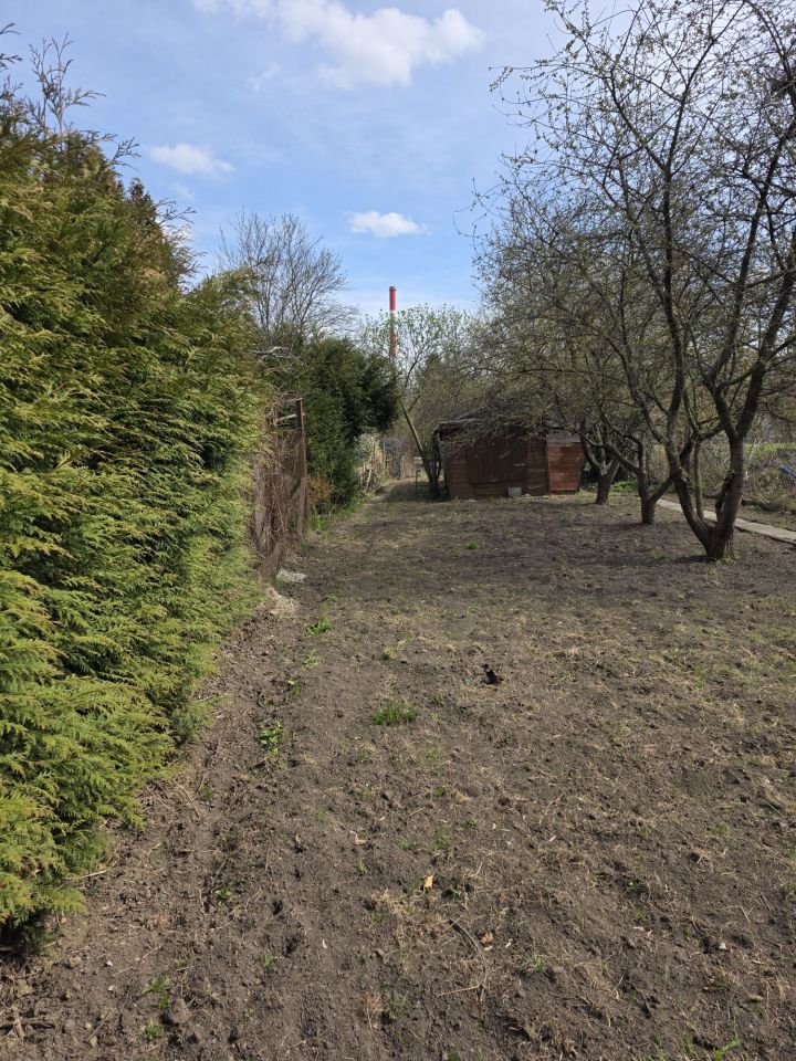 Działka rod Warszawa Mokotów. Zdjęcie 6