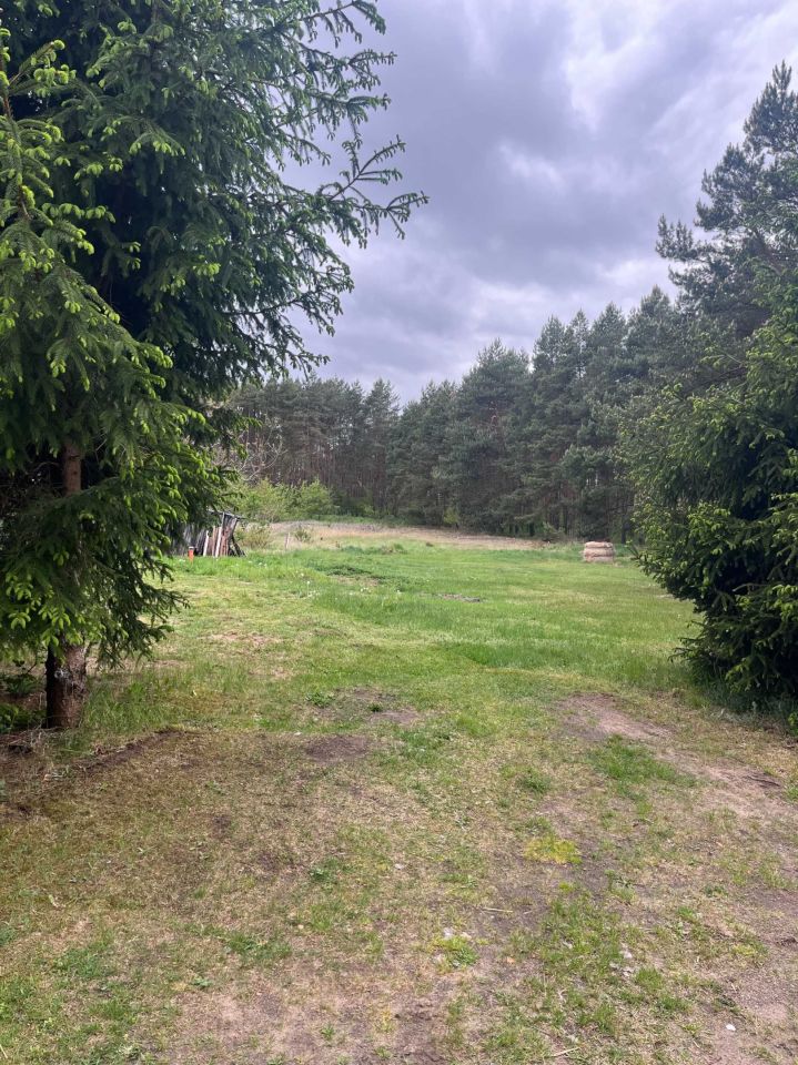 Działka budowlana Pszczelnik. Zdjęcie 5