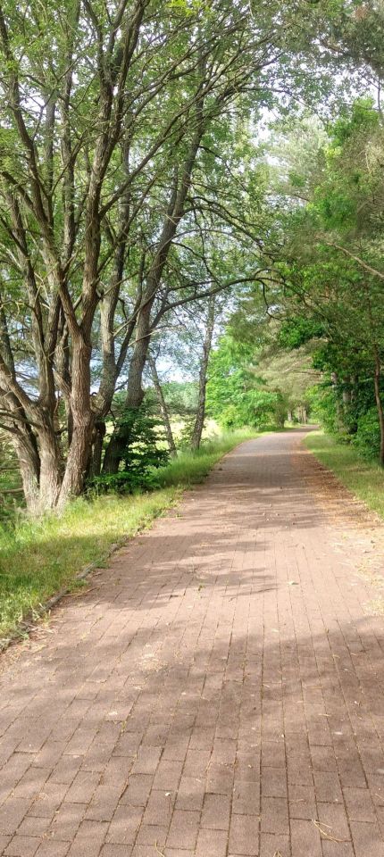 Działka budowlana Skarszewy, ul. Nad Stawem. Zdjęcie 8