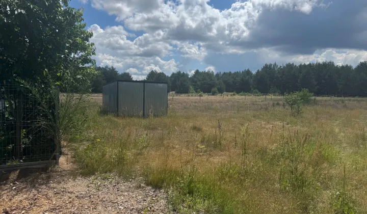 Działka rolna Augustów
