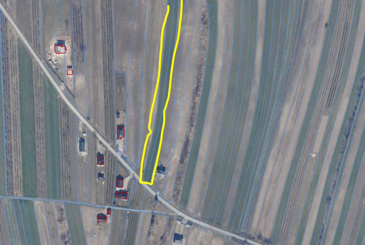 Działka rolna Jelonek. Zdjęcie 5