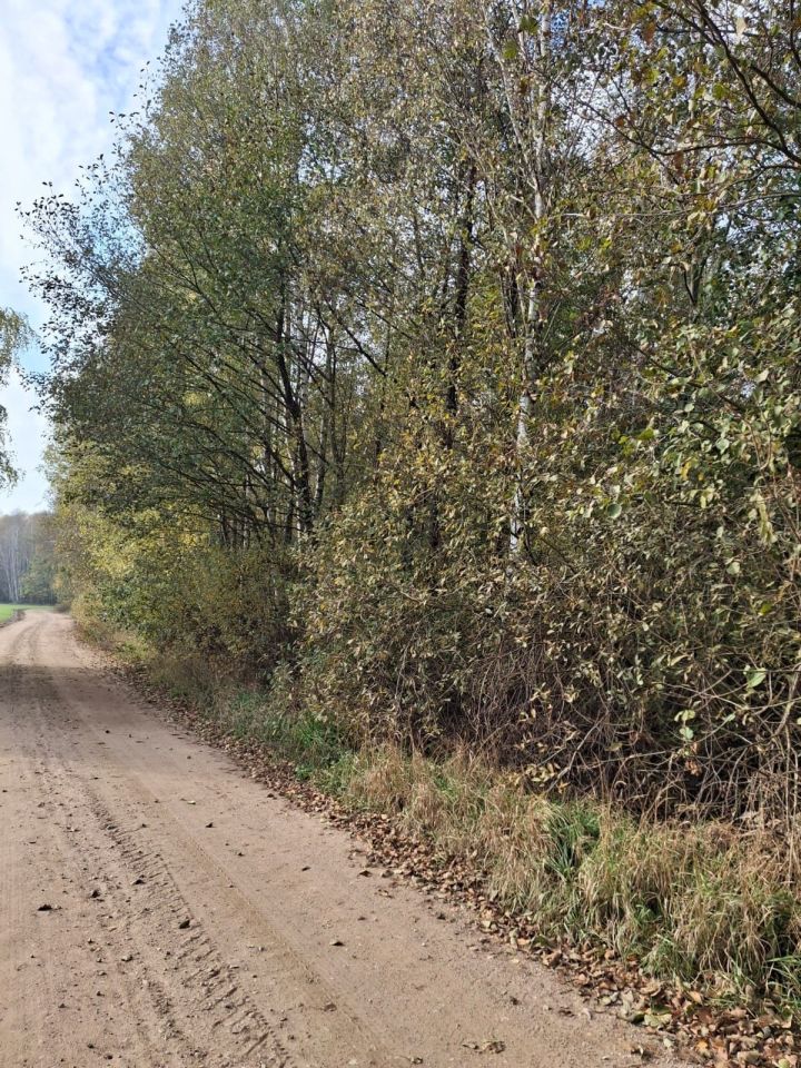 Działka rolna Wyrąb Karwacki. Zdjęcie 3