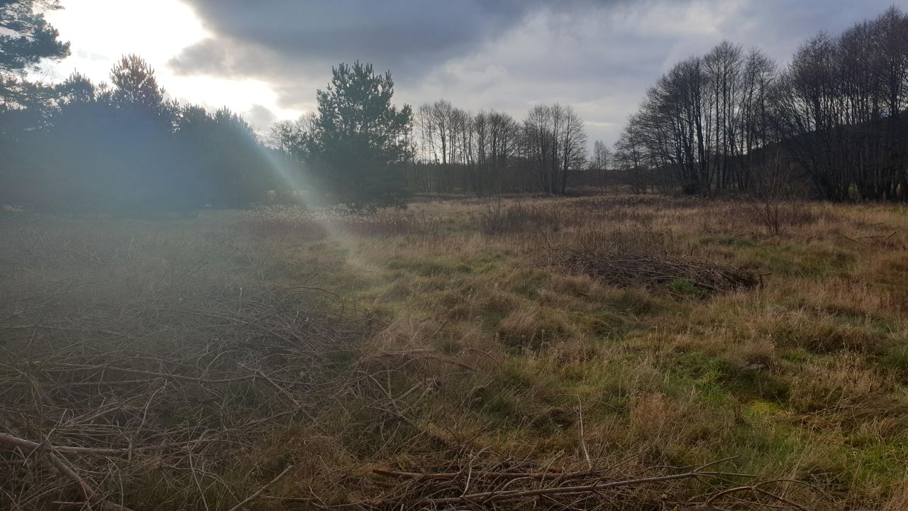 Działka rolna Smołdzino. Zdjęcie 2