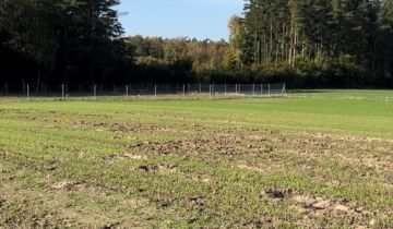 Działka rolno-budowlana Borkowo Lęborskie