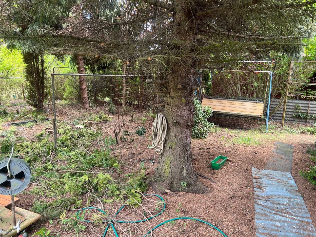 Działka rod Szamoty. Zdjęcie 7