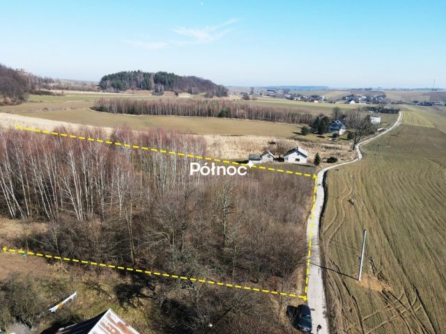 Działka rolno-budowlana Strzegowa. Zdjęcie 2