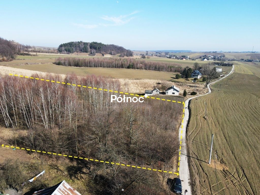 Działka rolno-budowlana Strzegowa. Zdjęcie 2