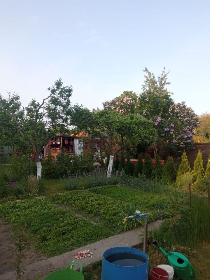 Działka rekreacyjna Olsztyn, ul. Pana Tadeusza