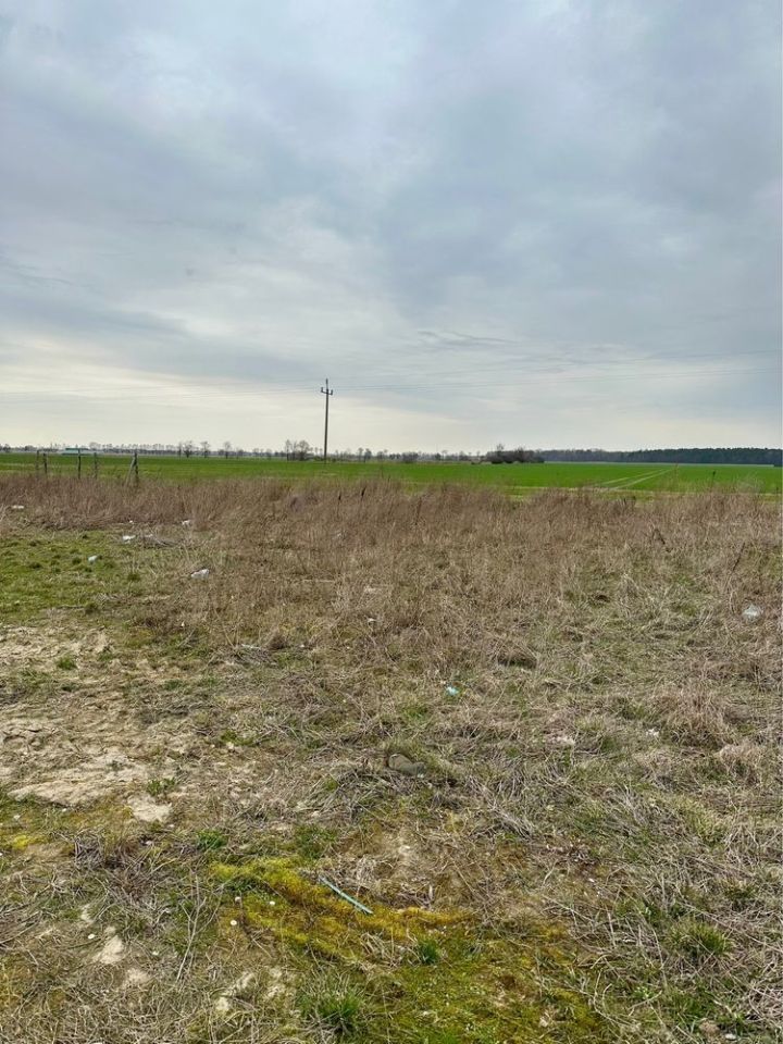 Działka budowlana Gowarzewo, al. Kasztanowa. Zdjęcie 5