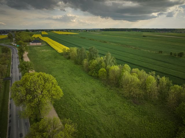 Działka budowlana Jędrzejów, ul. Bartosza Głowackiego. Zdjęcie 11