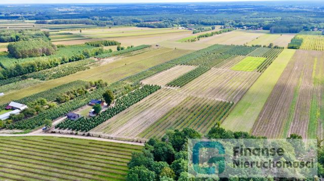Działka siedliskowa Wierzchy. Zdjęcie 2