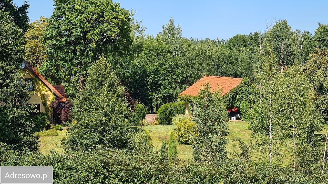 dom wolnostojący, 5 pokoi Miłogórze. Zdjęcie 13