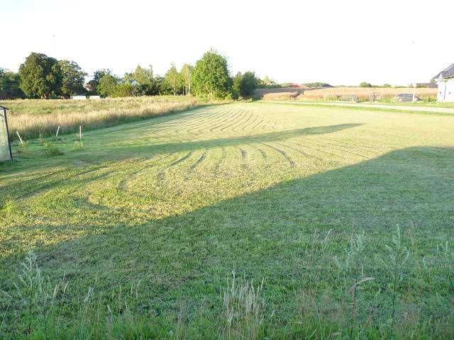 Działka rolno-budowlana Gołańcz Pomorska. Zdjęcie 5