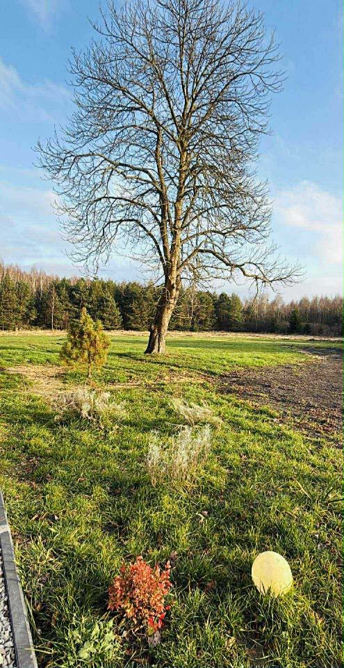 dom wolnostojący, 6 pokoi Kolonia Piaski. Zdjęcie 3