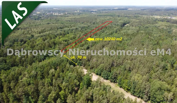 Działka Niewodnica Kościelna, Wrzosowa