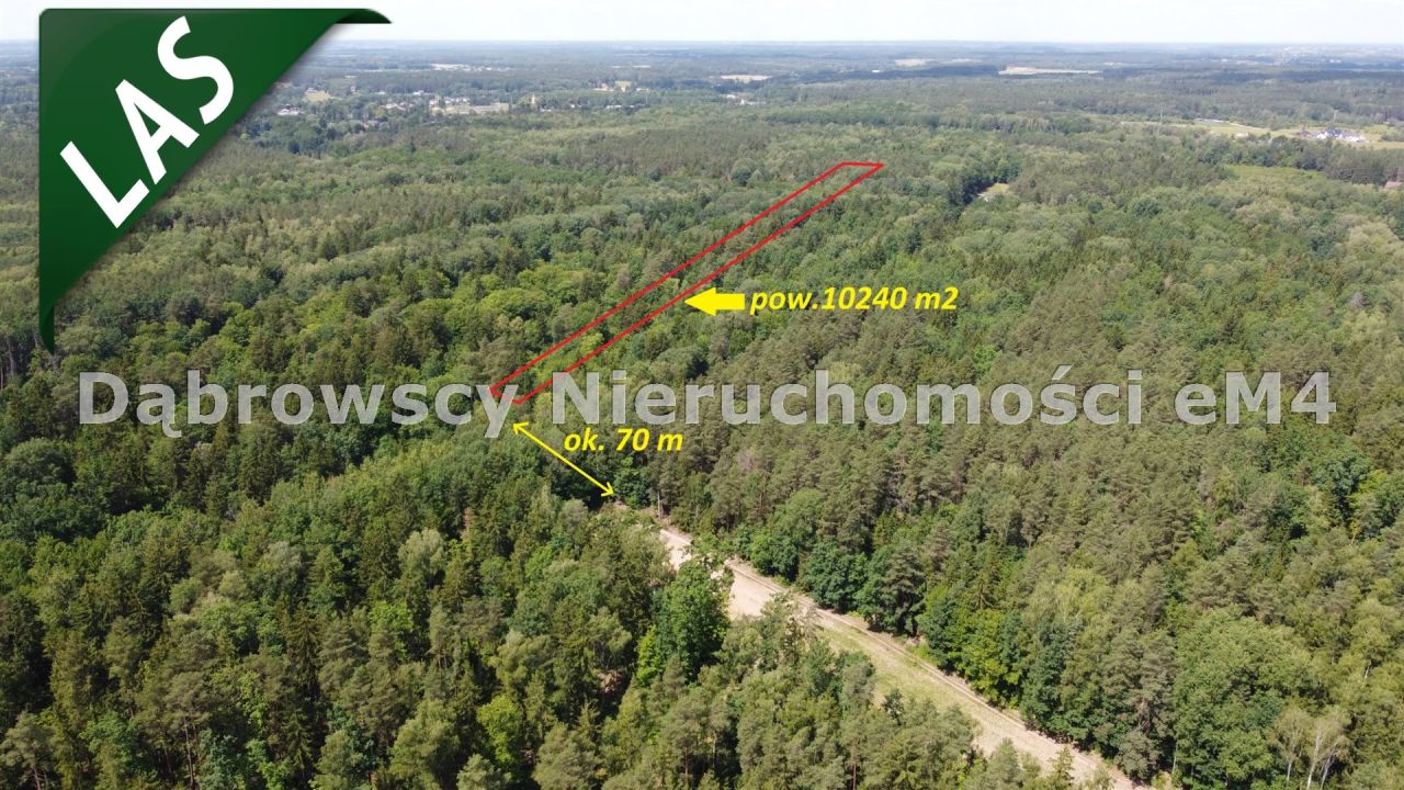 Działka Niewodnica Kościelna, Wrzosowa. Zdjęcie 1