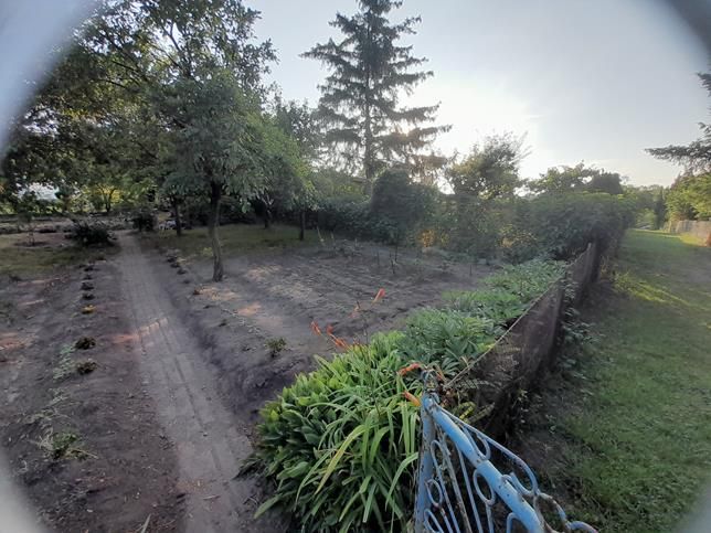 Działka rekreacyjna Płock Winiary, ul. Szpitalna