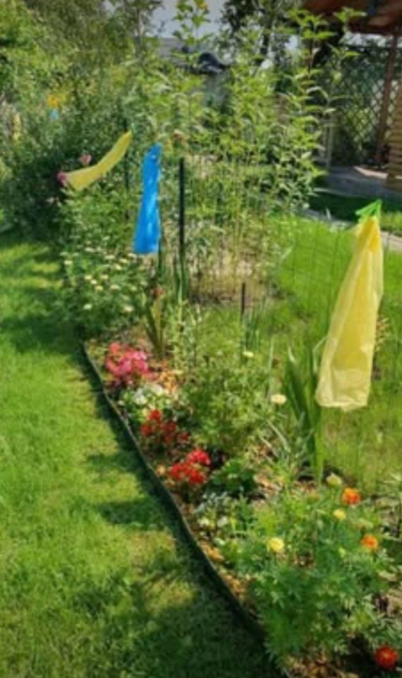 Działka rod Legnica, ul. Ignacego Domejki. Zdjęcie 4