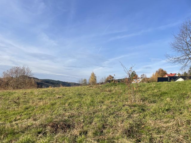 dom wolnostojący Piątkowa, Lwowska. Zdjęcie 7