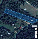 Działka leśna Wyręby. Zdjęcie 1